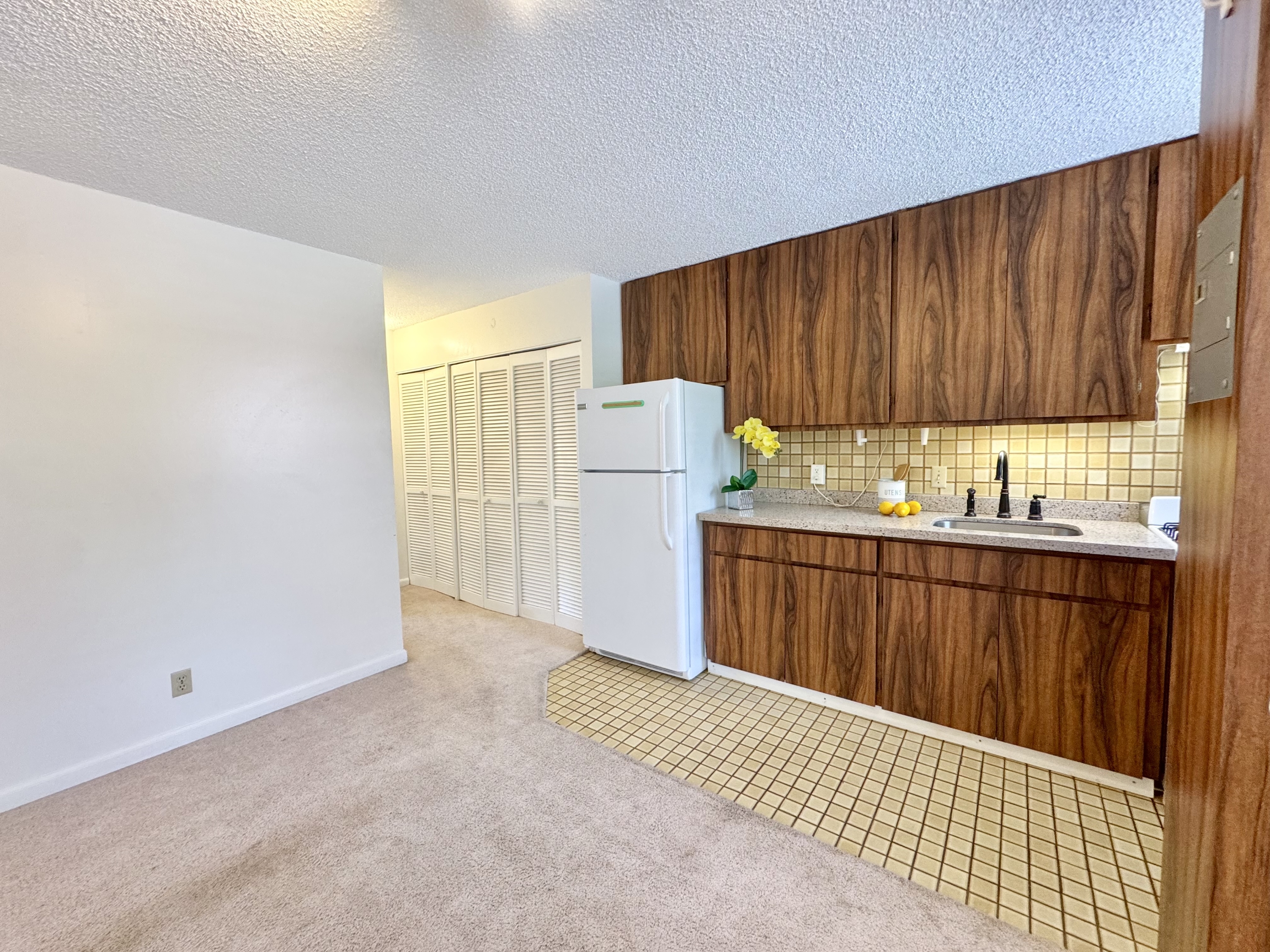 1036 Green Street #204 - 1